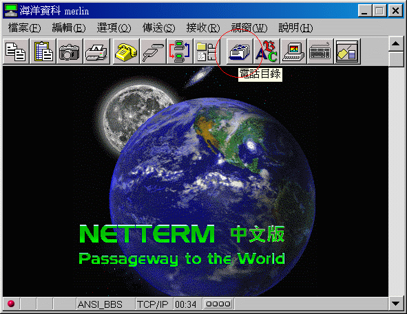 NetTerm3.gif (77145 bytes)