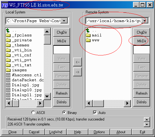 WSFtp3.gif (24280 bytes)